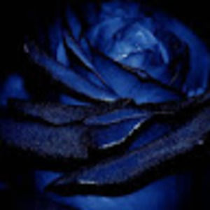 Meet your Posher, Ananya